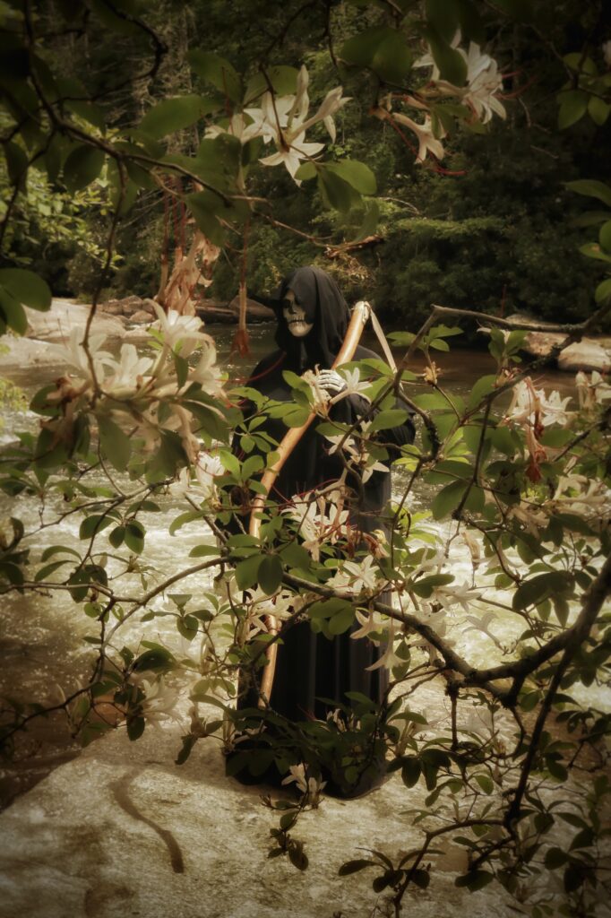 Grim Reaper through the laurels, Dupont State Forest.